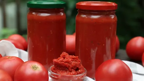 تصویر 2 از رب گوجه سطلی ستاره دخت + طعم طبیعی و غلظت بالا